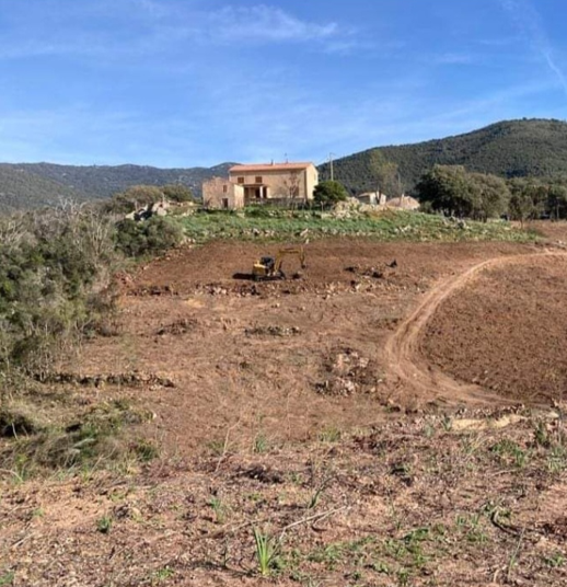 Dessouchage Ajaccio Corse